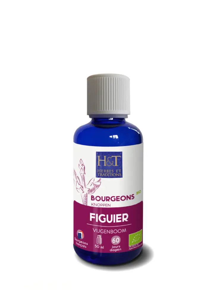 Bourgeon Figuier Bio