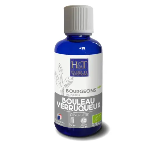 [H&T] Bourgeon Bouleau verruqueux